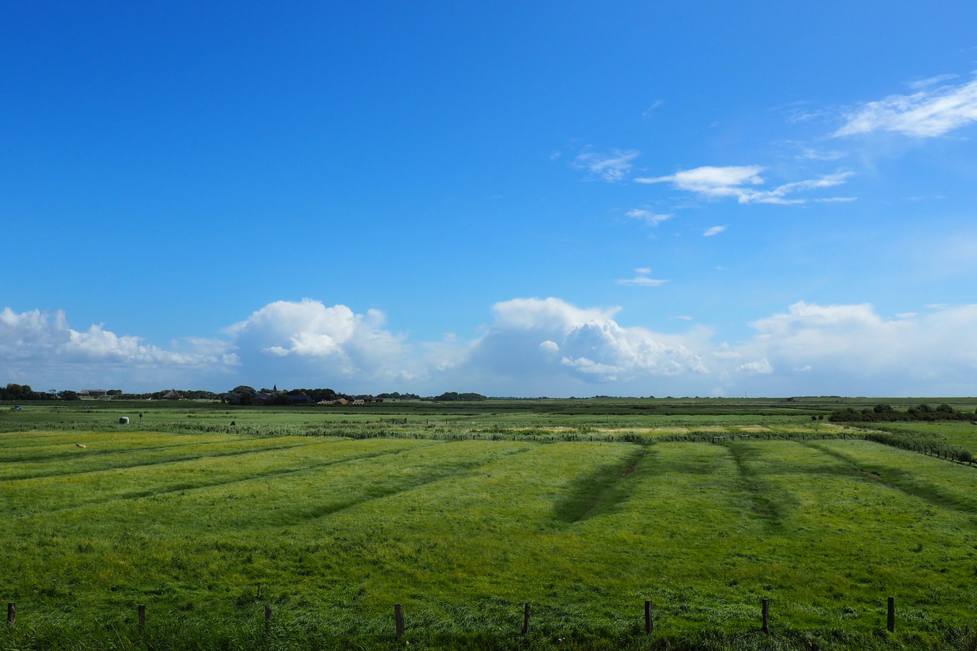 Nordfriesland / Eiderstedt