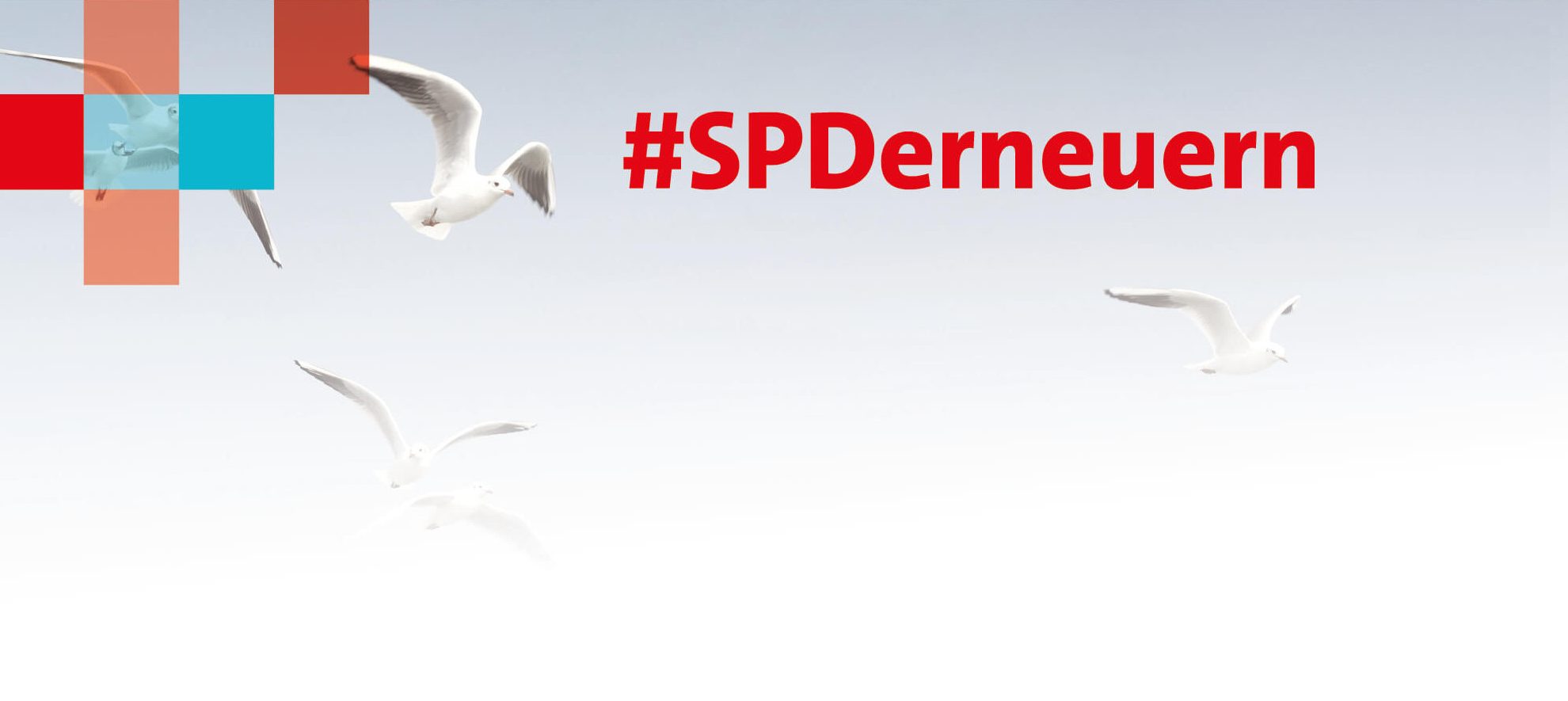 #SPDerneuern