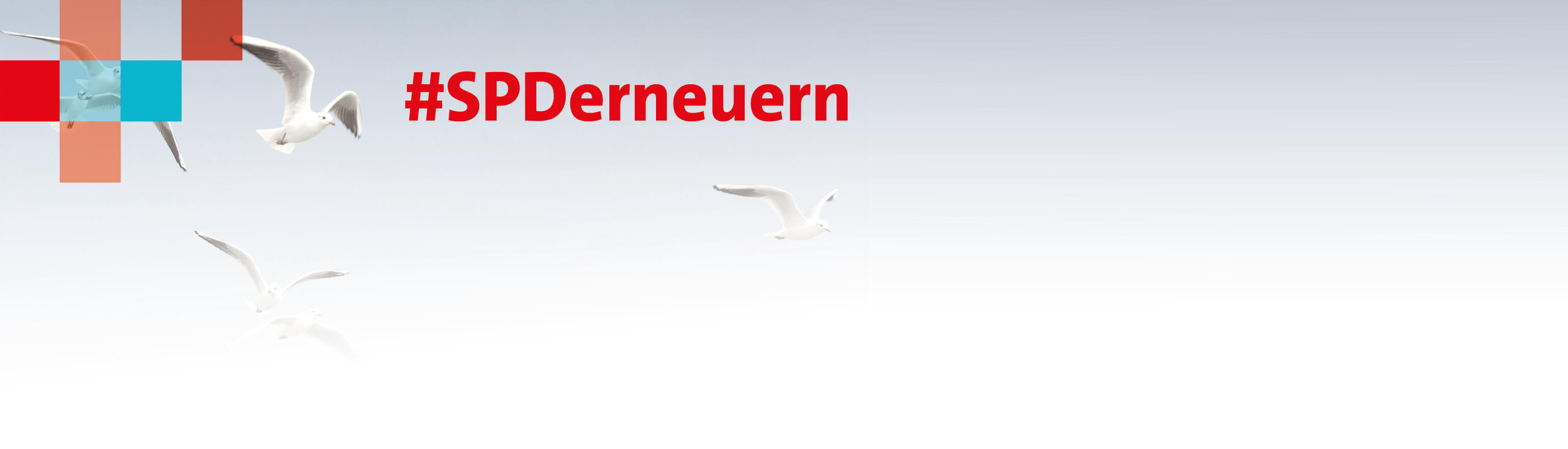 #SPDerneuern Homepage Slider