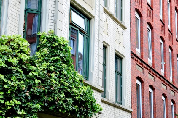 Fassaden von Altbauten