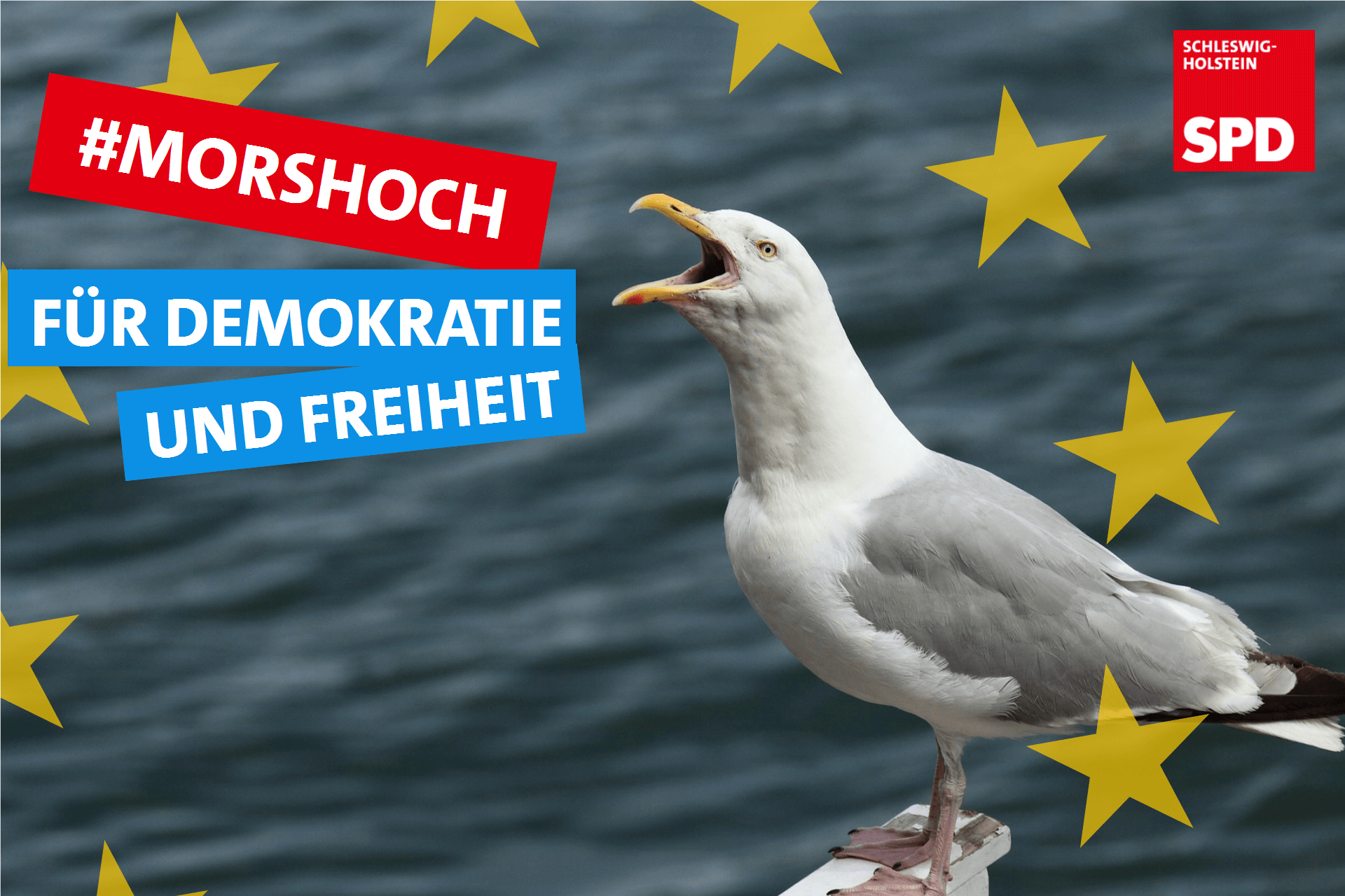 "Mors Hoch," sagt die Möwe "Für Demokratie und Freiheit!"